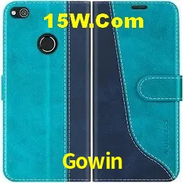 Diretório de Jogos Gowin
