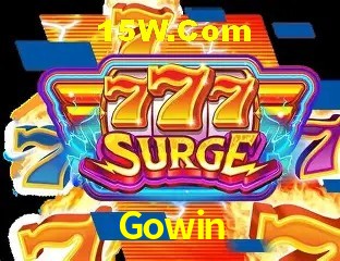 Promoção Relâmpago Gowin